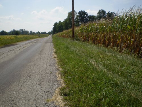Property photo 11 - 40 Acres in 4 Tracts - Great Location!